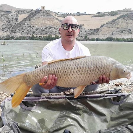 R U Ready Fishing, River Ebro Mequinenza Buitenkant foto