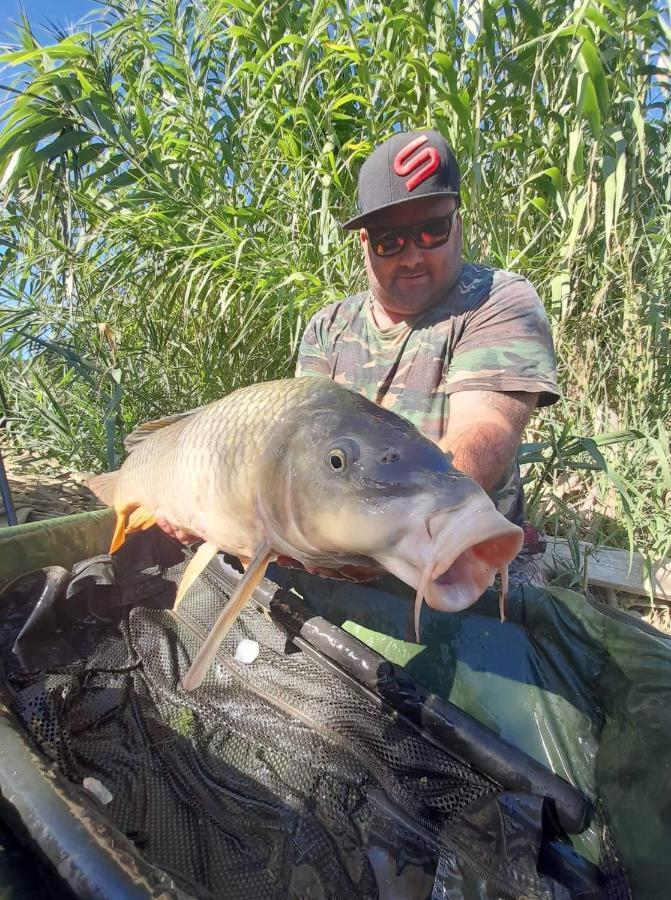 R U Ready Fishing, River Ebro Mequinenza Buitenkant foto